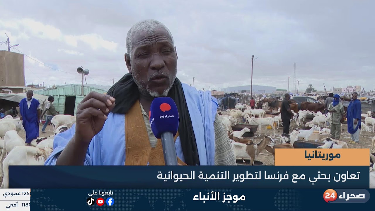 موجز الأنباء
