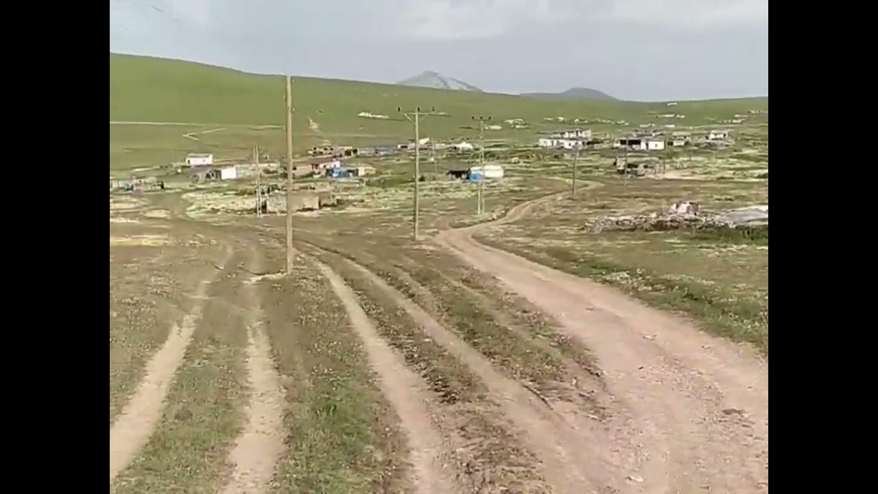 Eskikılıç Yaylası ( 2021 ) #damal #ardahan ( Kıvırcık Ali Isırgan Otu )