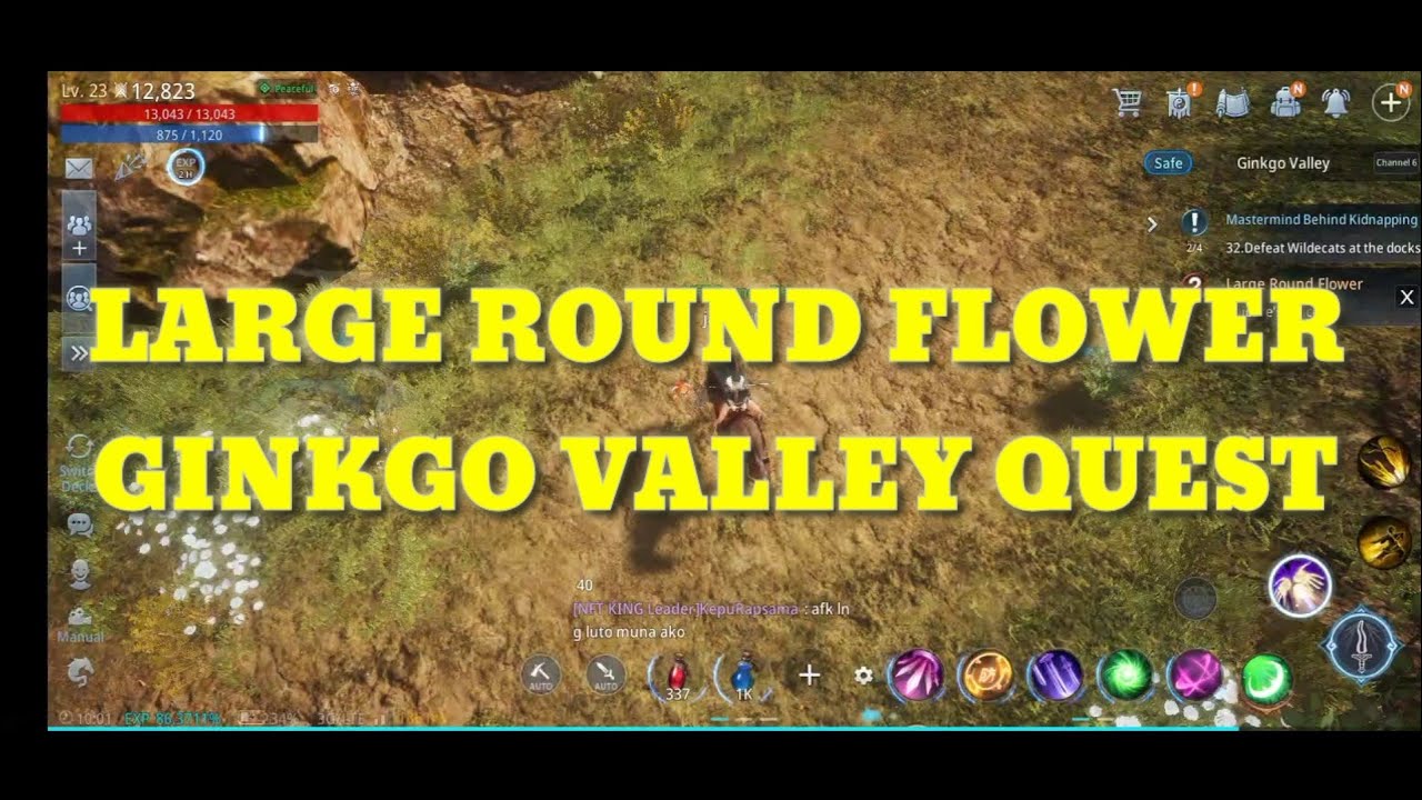 MIR4 / LARGE ROUND FLOWER GINKGO VALLEY QUEST