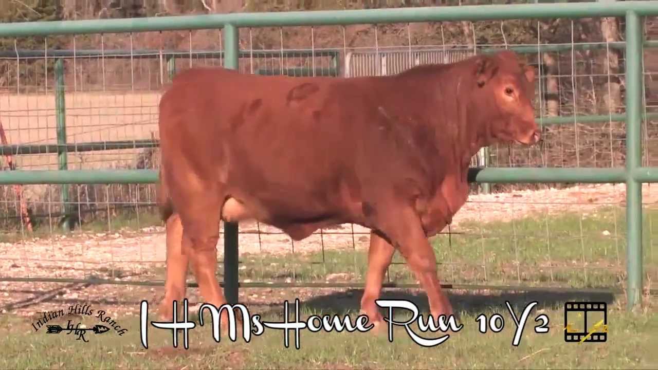Lot 20 - IH Ms Home Run 10Y2