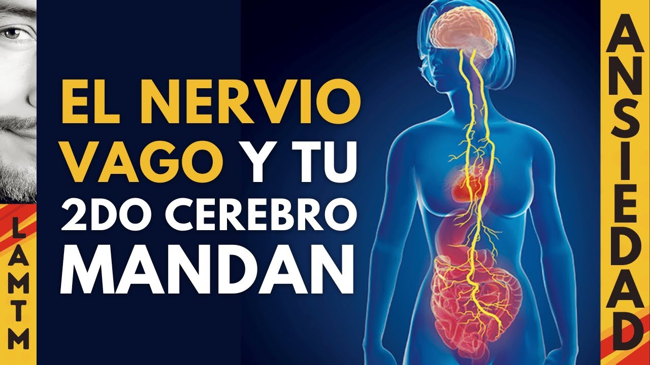Tu INTESTINO controla tu ánimo y tu ANSIEDAD