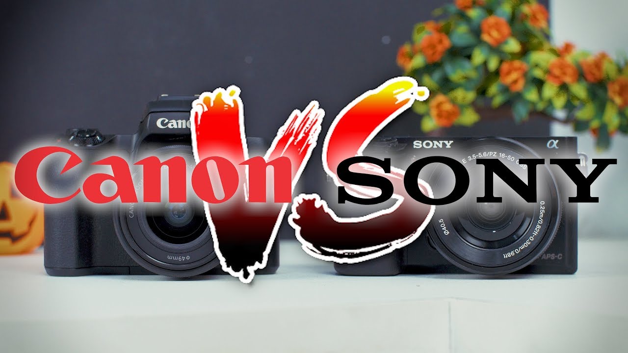 Mirrorless Fight - Sony VS Canon !