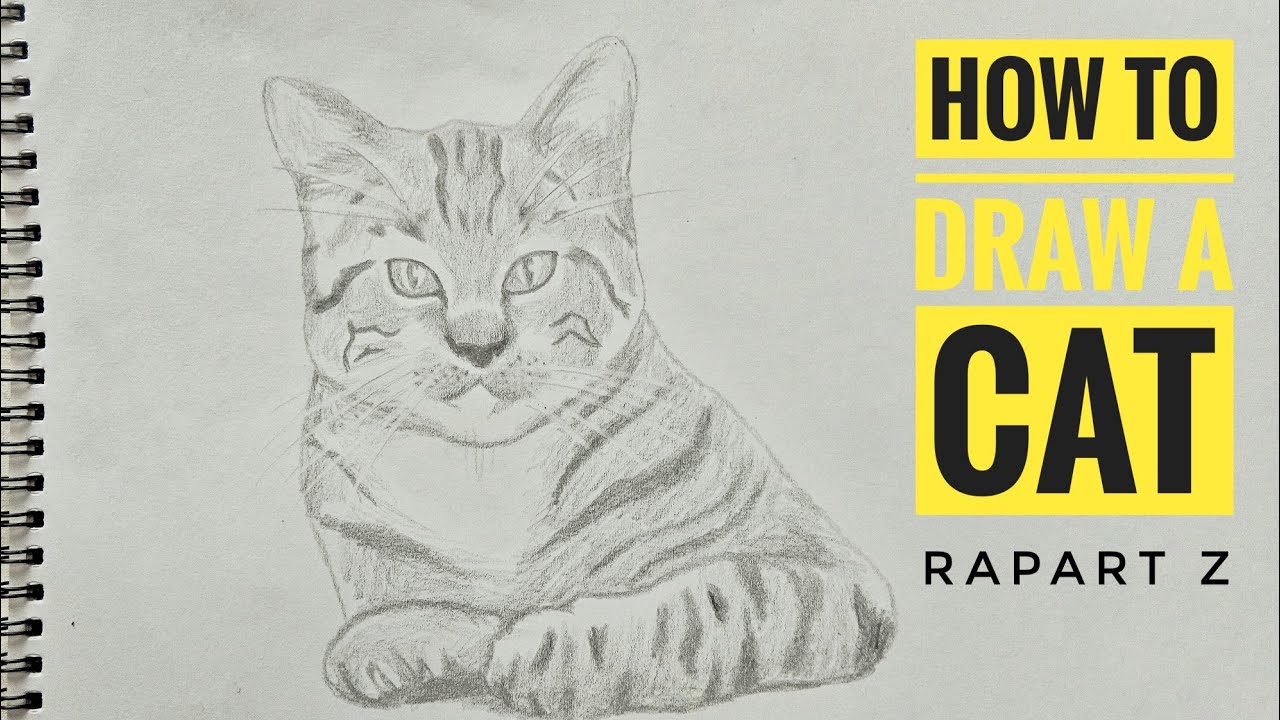 HOW TO DRAW A CAT | RAPART Z