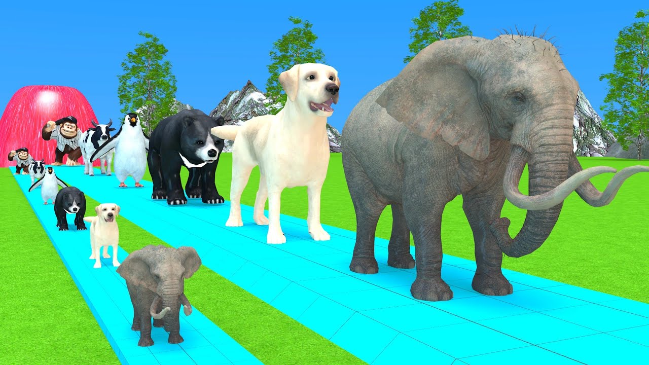 Paint & Animals Cow,Elephant,Dog,Bear,Gorilla,Penguin, Fountain Crossing Transformation Cartoon