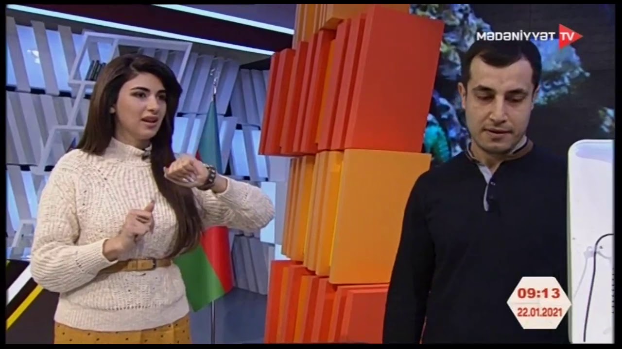 Akvariumun qurulma dizaynı və balıqlara qulluq haqqında