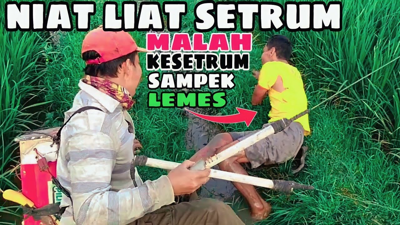 setrum belut jarak 2 meter berakhir teragis