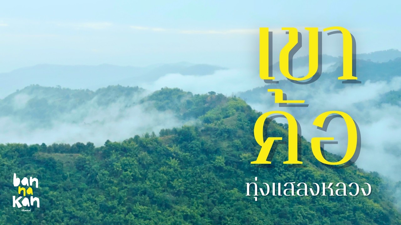 เขาค้อ-ทุ่งแสลงหลวง กางเต็นท์วันหยุดยาวแสนสงบสุขในดินแดนแห่งสายหมอก เพชรบูรณ์ [Relax Travel VLOG]