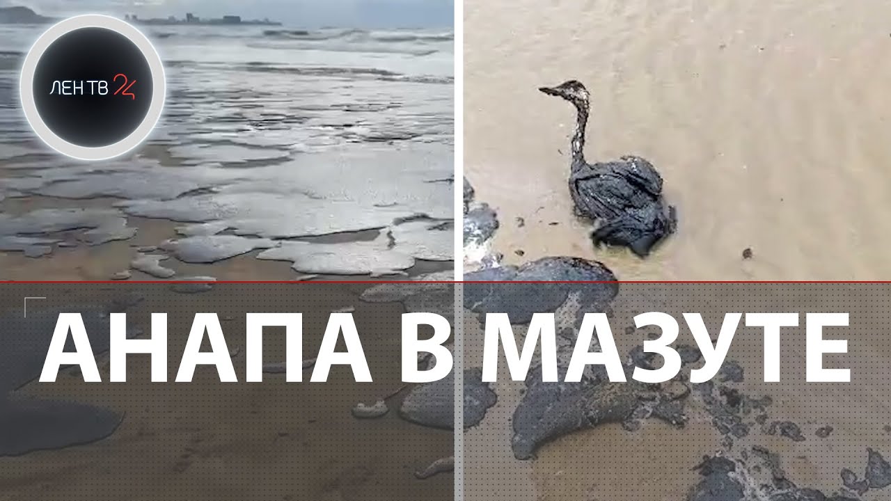 Мазутные пляжи в Анапе | 