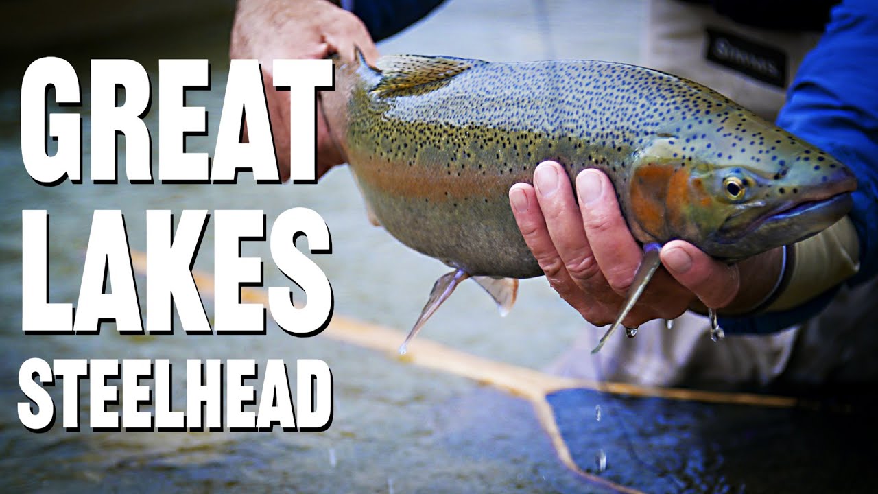 Great Lakes Steelhead | How To