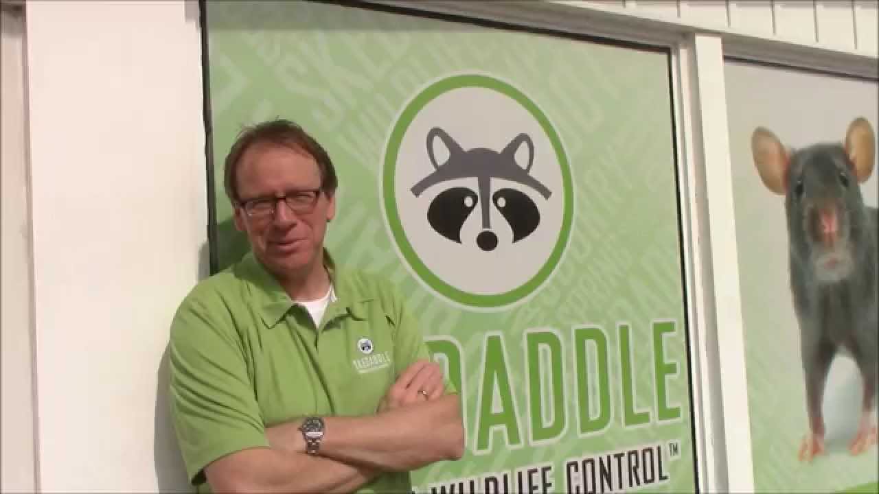 Skedaddle Humane Wildlife Control Offers a Lifetime Guarantee