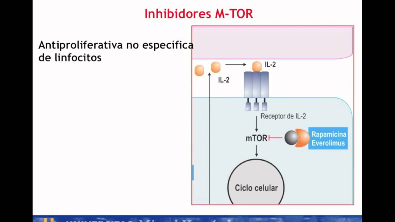 Lec002 Tratamiento farmacol&oacute;gico de base inmunol&oacute;gica I. Terapia Inmunosupresora (umh1947 2013-14)
