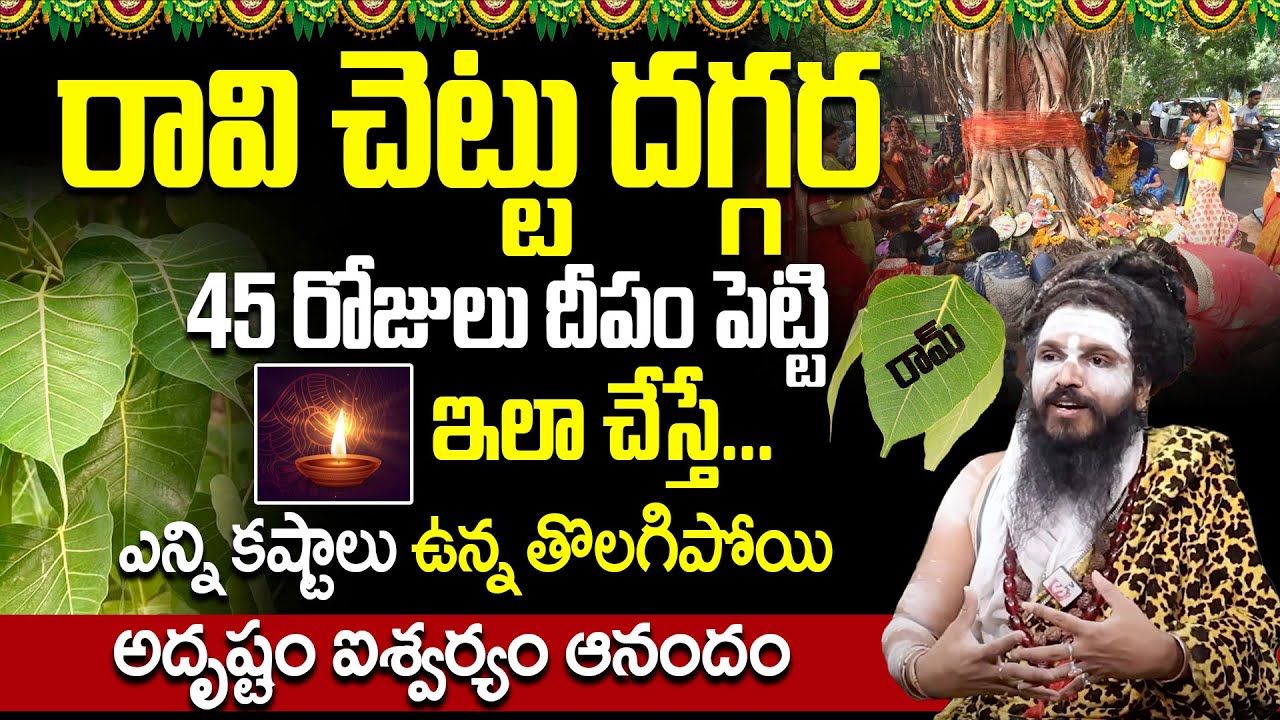 SriSwamy SiddhaYogi - రావి చెట్టు గురించి ఇది తెలుసుకోండి | importance of Ravi Chettu | SumanTVPrime