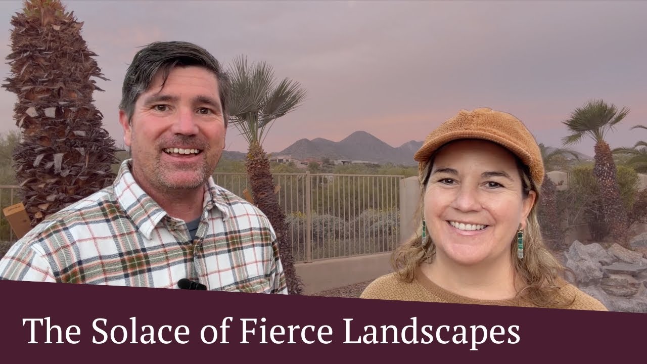 The Solace of Fierce Landscapes | January, 09 2026