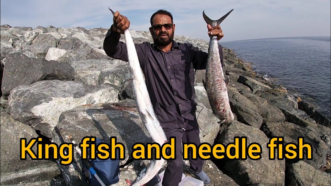 Catching Kingfish and needle fish👌😱  |back to UAE fishing|  fujairah