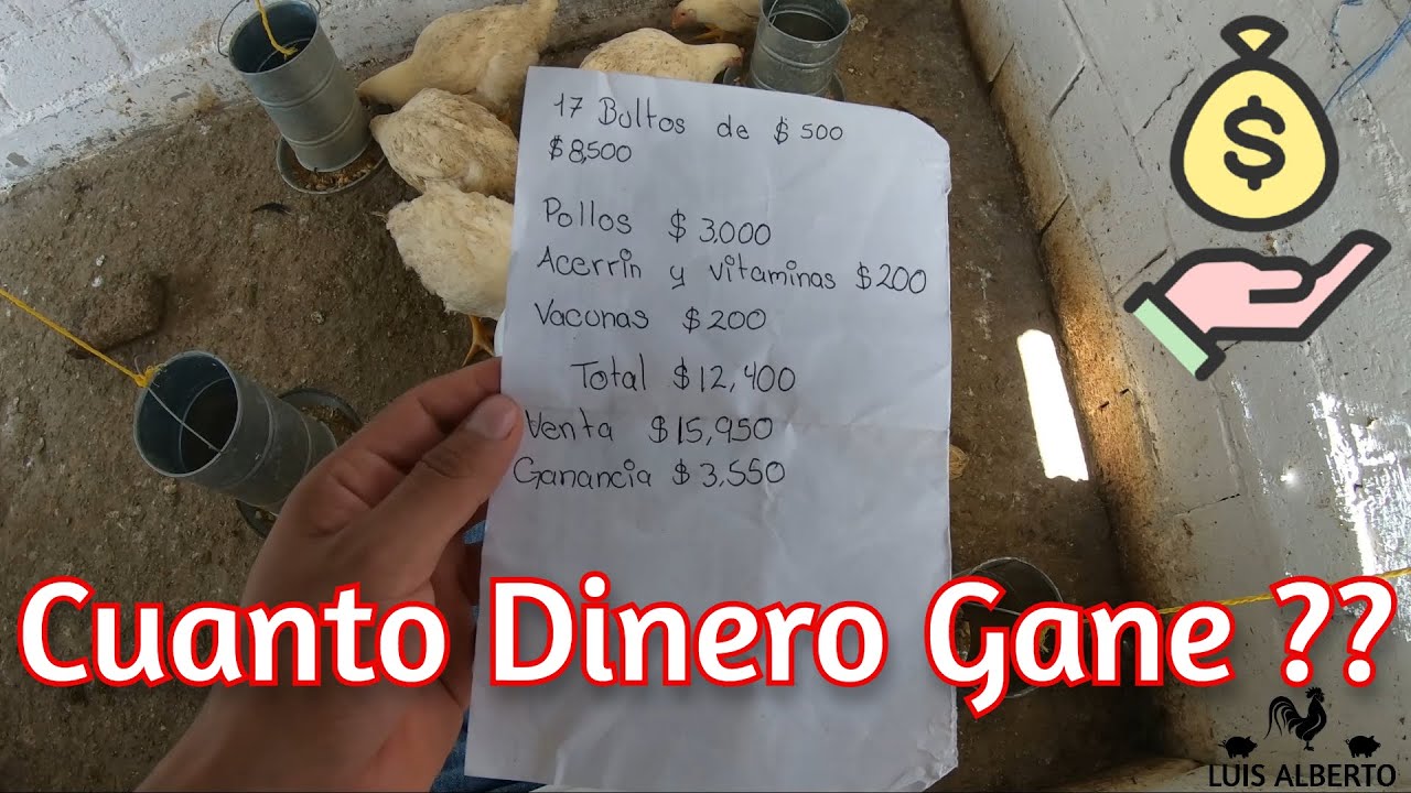 Cuanto Gane Por Criar Pollos de Engorde $$ ???