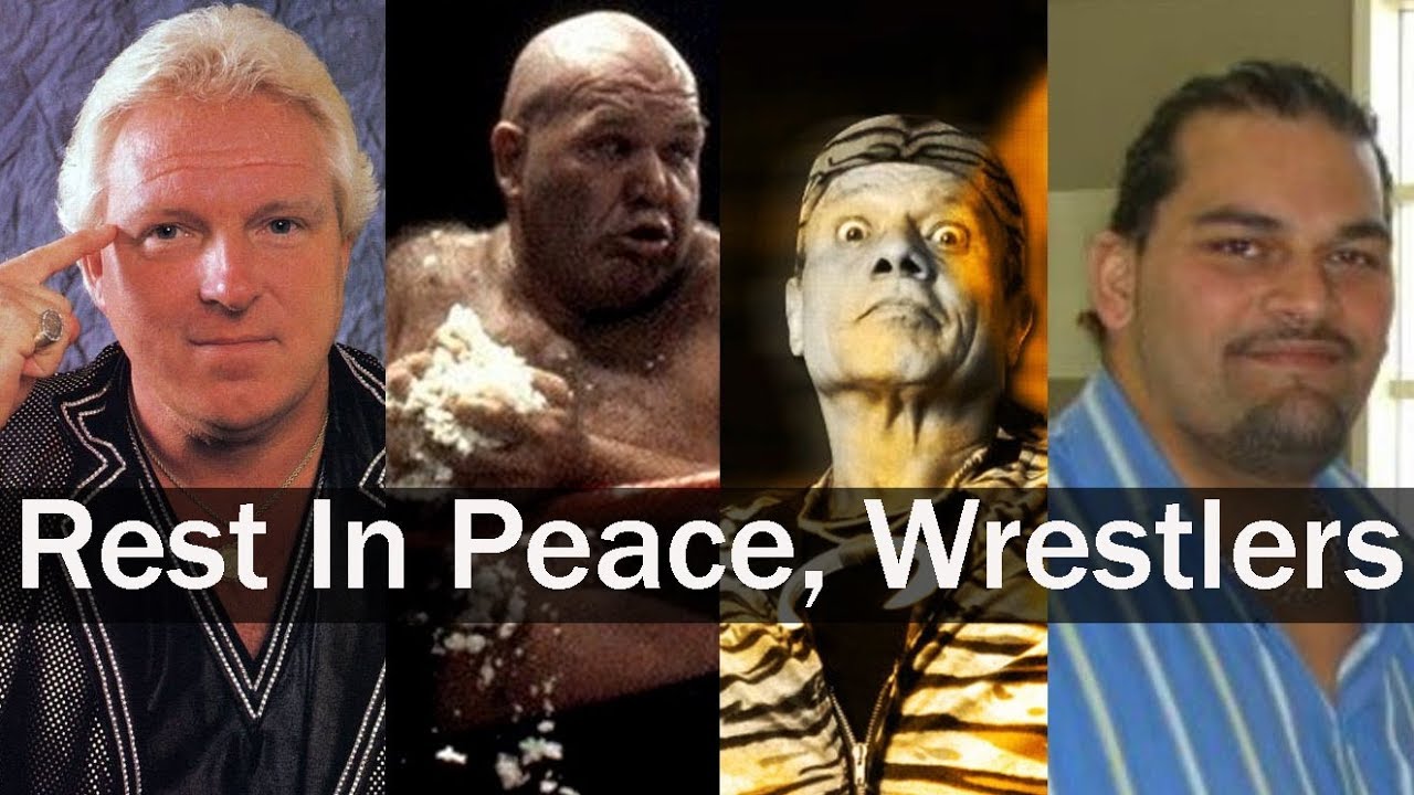 A Tribute to All WWE Wrestlers Who Died in 2017