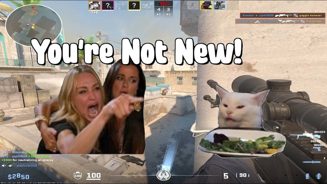 CS2 But I Pretend To Be New