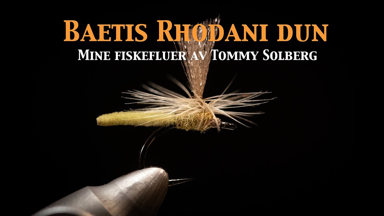 Baetis Rhodani - Mine Fiskefluer, t&oslash;rrflue, fluefiske og imitasjoner