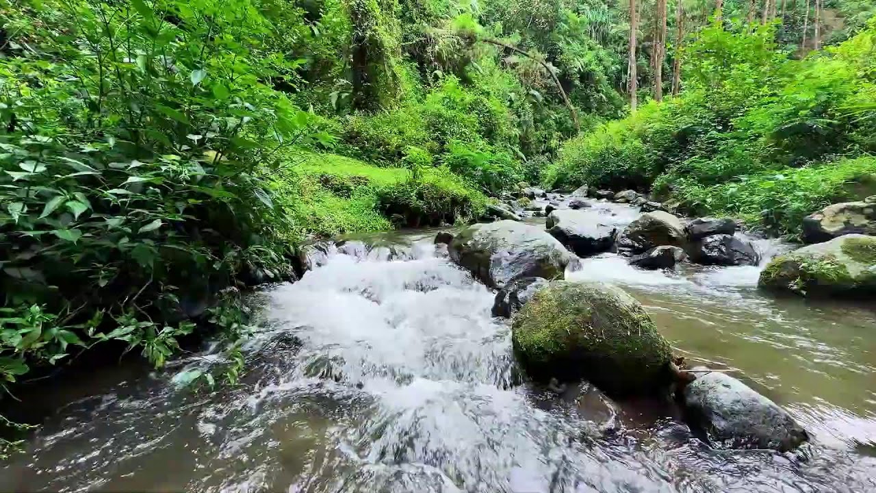 Soft river sound comforting the night sky keeping deep sleep steady and effortless