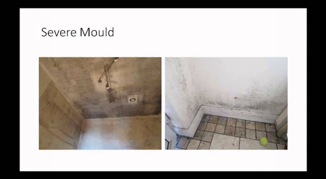 Common Building Defects - Client Seminar - July 2014