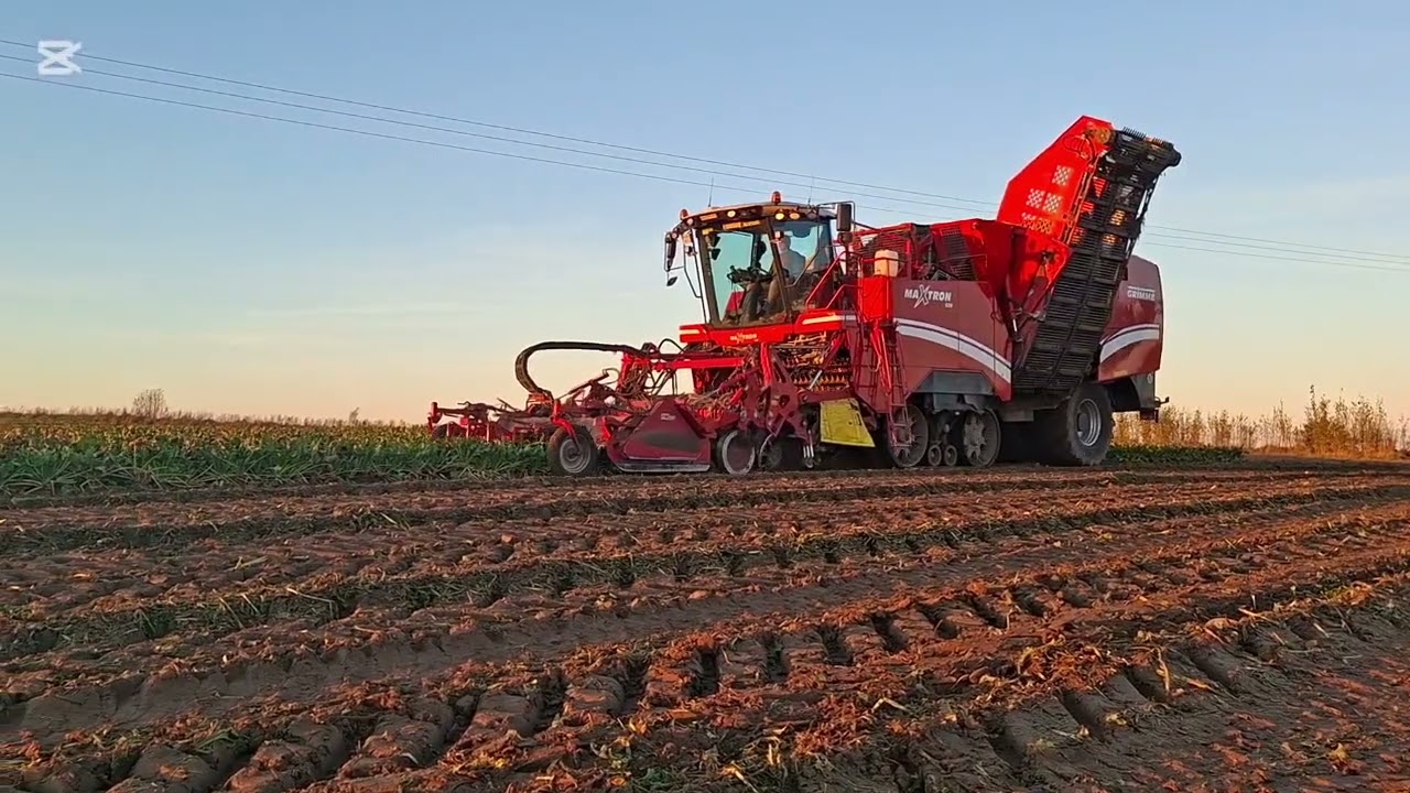 25 października 2025