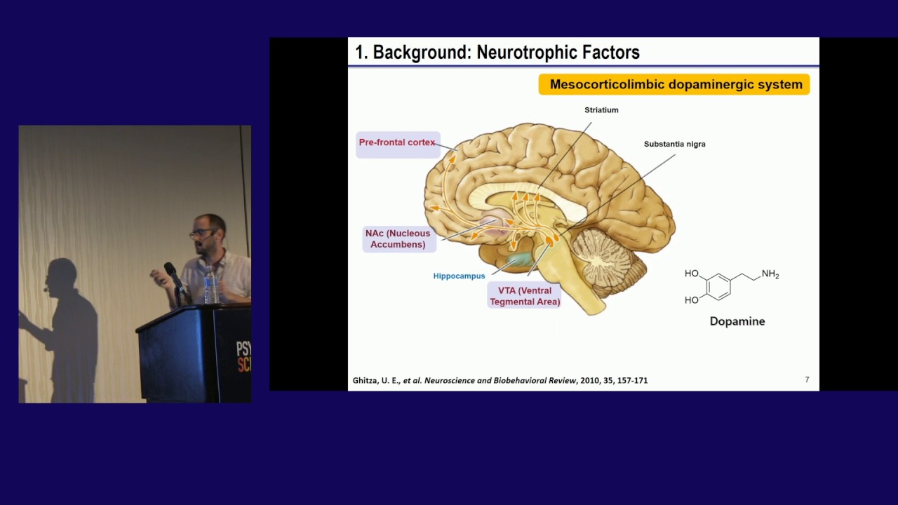 Ignacio Carrera: Ibogaine & Neurotrophic Factors: GDNF, BDNF, and NGF Releasing Properties