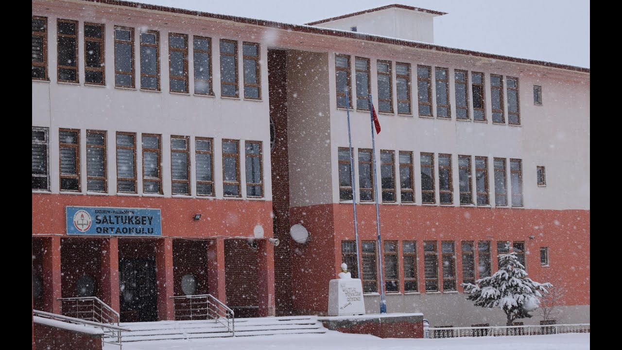 Kar Topu Savaşı ( Saltukbey Ortaokulu )