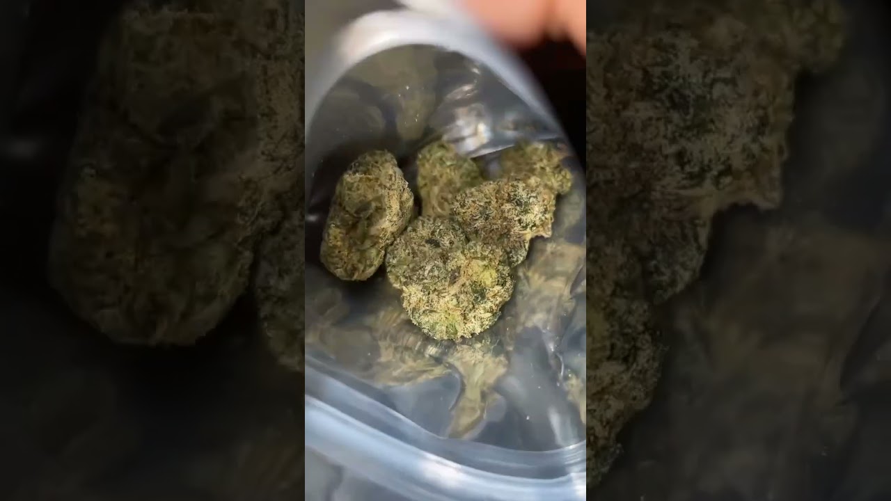 Sour Apple hybrid strain 🔥 ￼