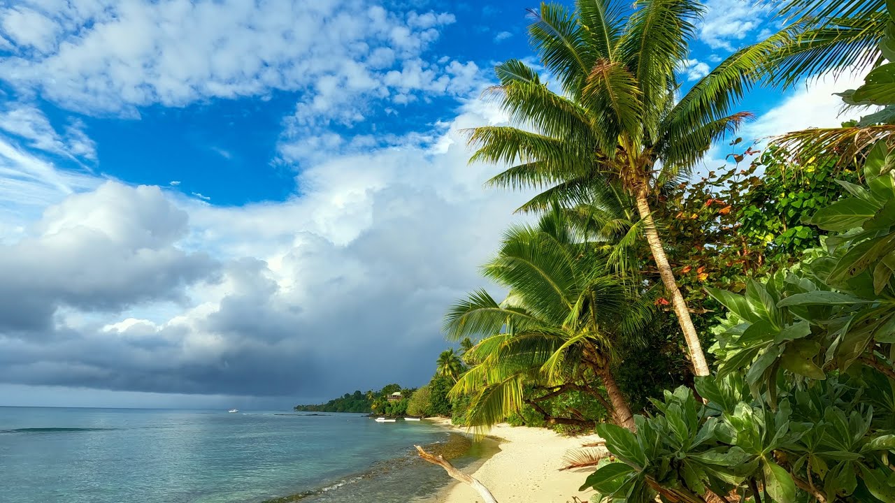 Wild Melanesian Beaches 🌴 Calm South Pacific Ocean Ambience