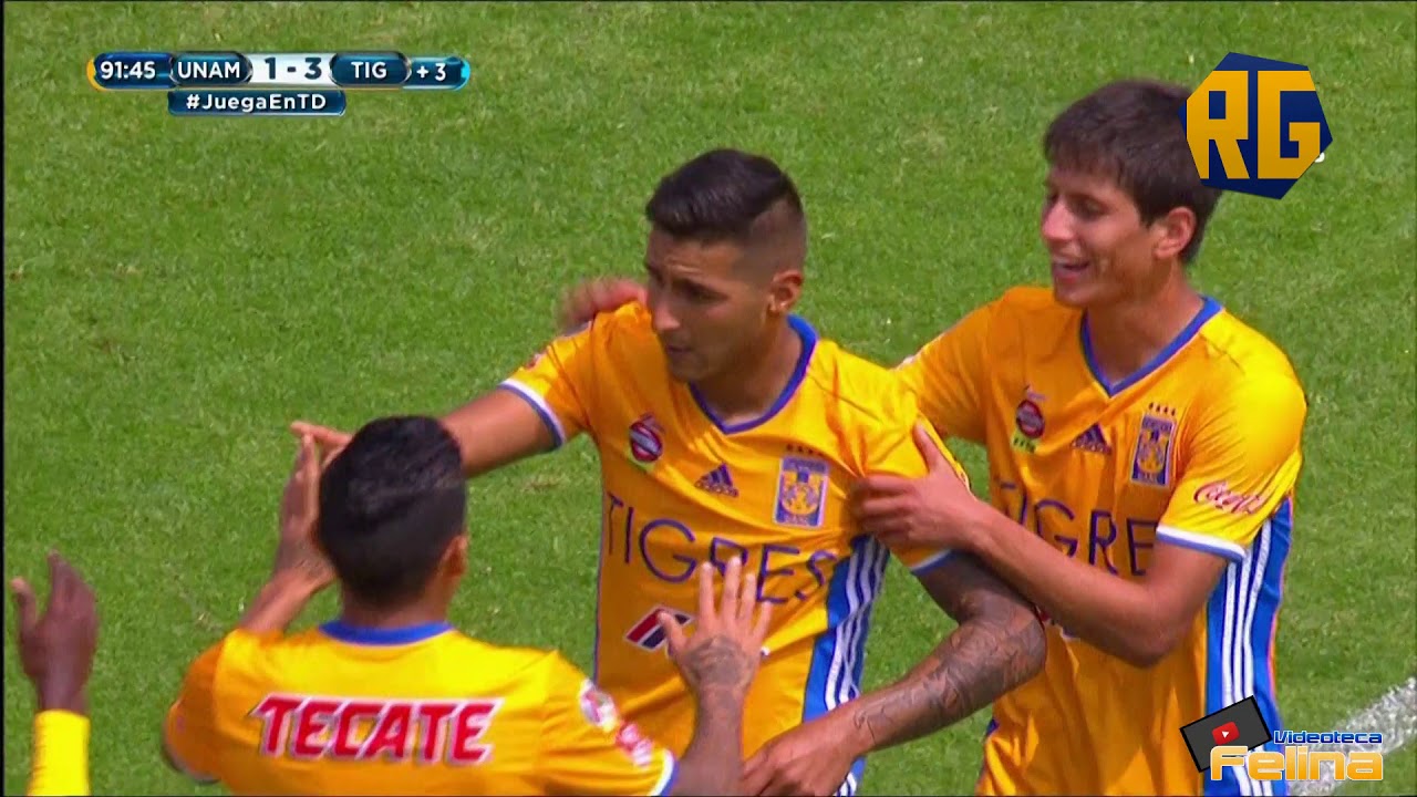 Los 20 Goles De Ismael Sosa Con Tigres