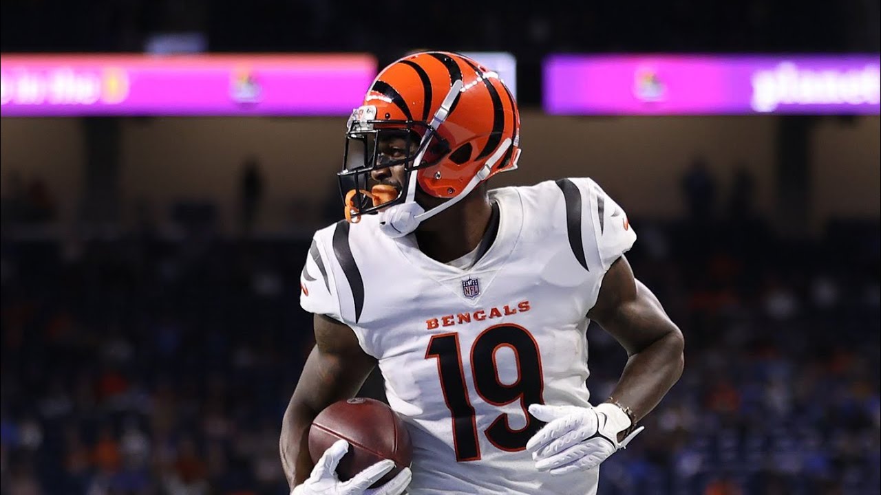Auden Tate 2021 highlights! Bengals WR