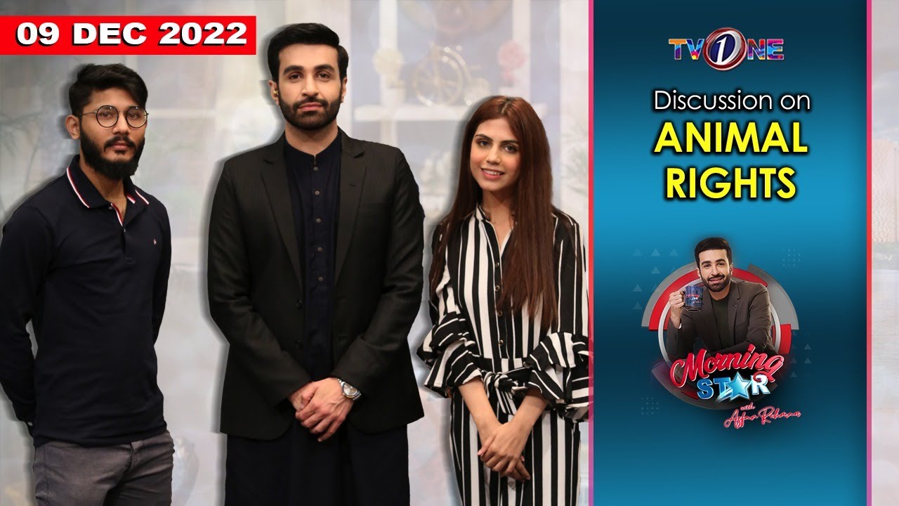 Discussion on Animal Rights | Morning Star With Azfar Rehman | TVONE