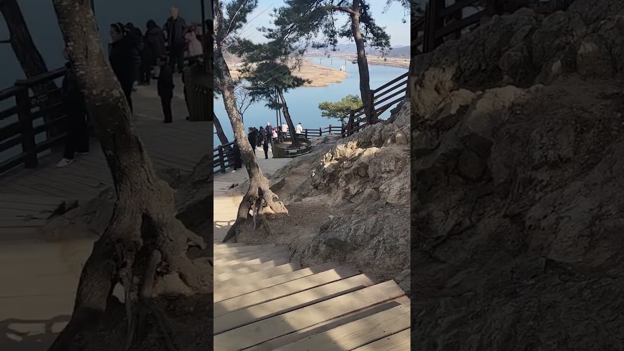 부여낙화