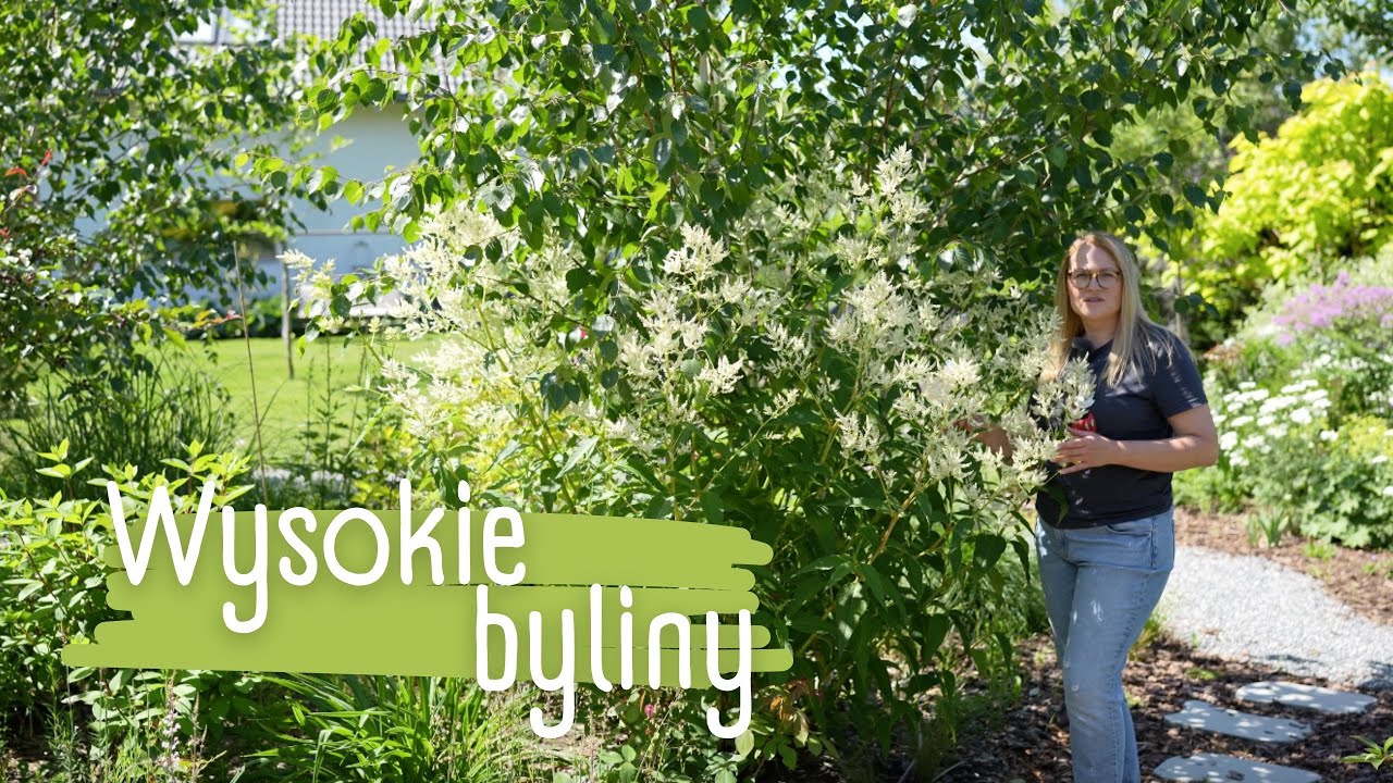 Te byliny przerosną Twoje oczekiwania! 😉 4 wysokie byliny na tył rabaty i nie tylko