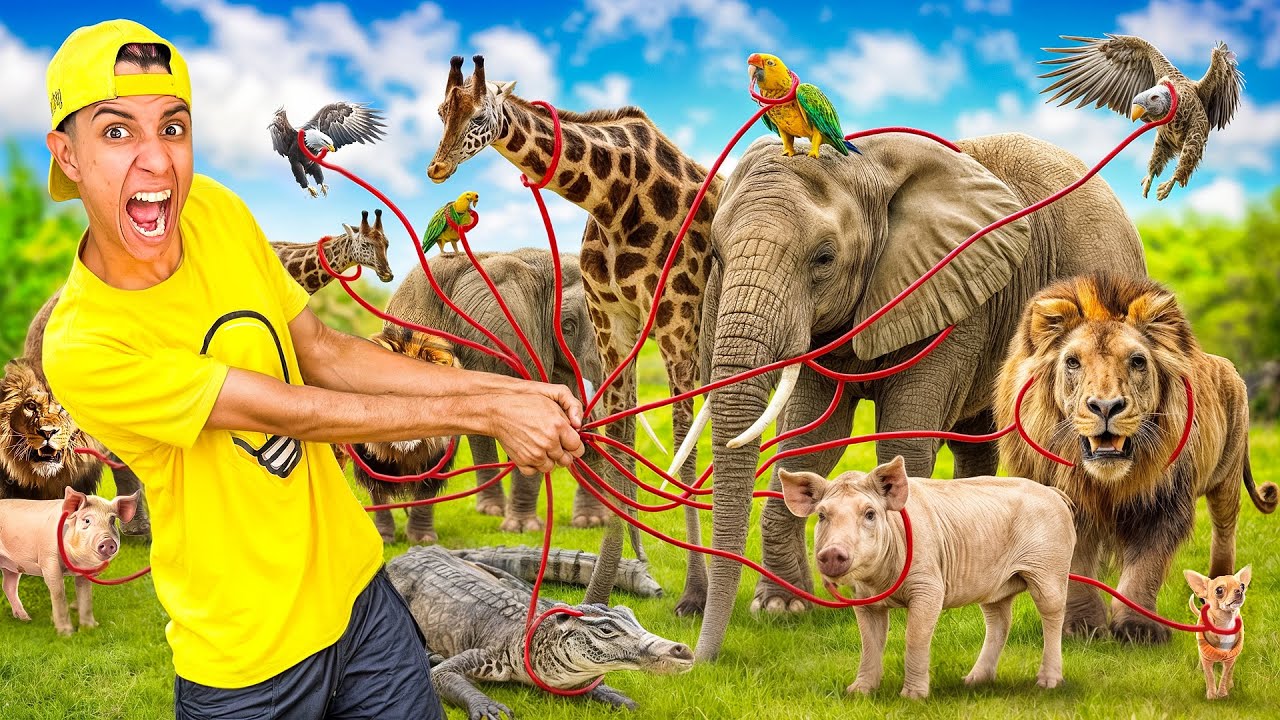 A CADA RODADA O ANIMAL AUMENTA *animais extremos !