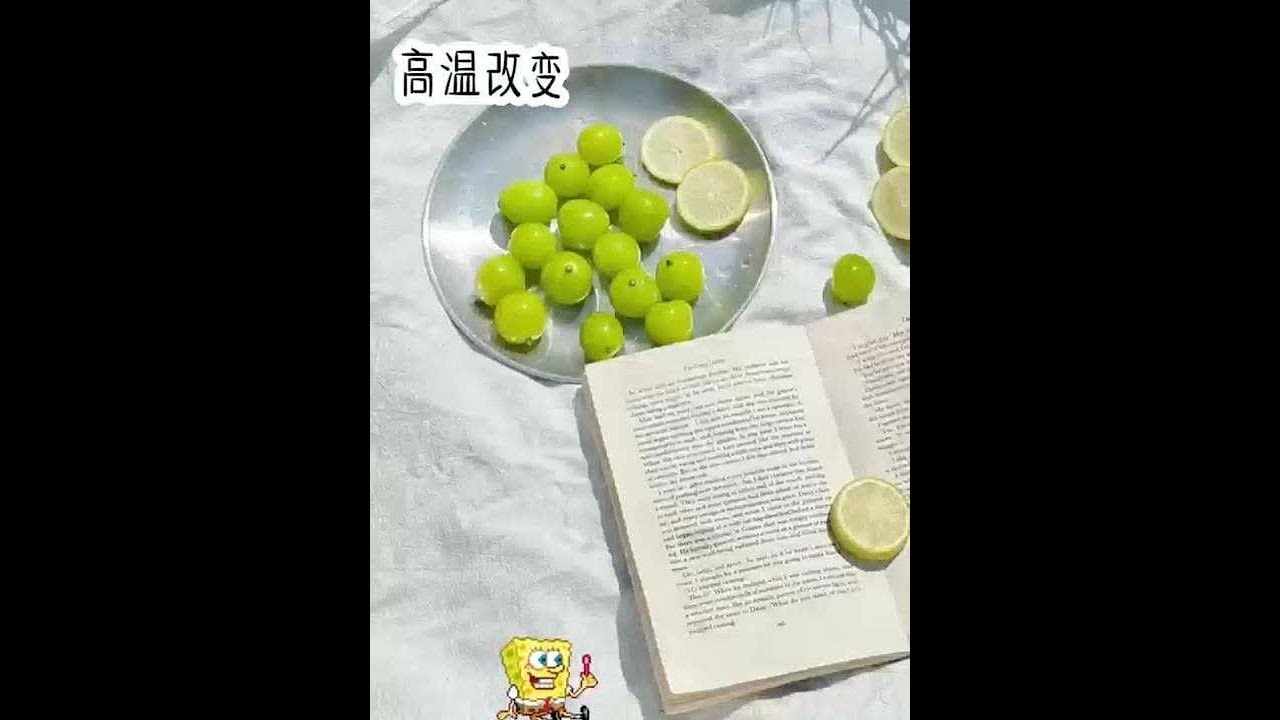 #小说推荐