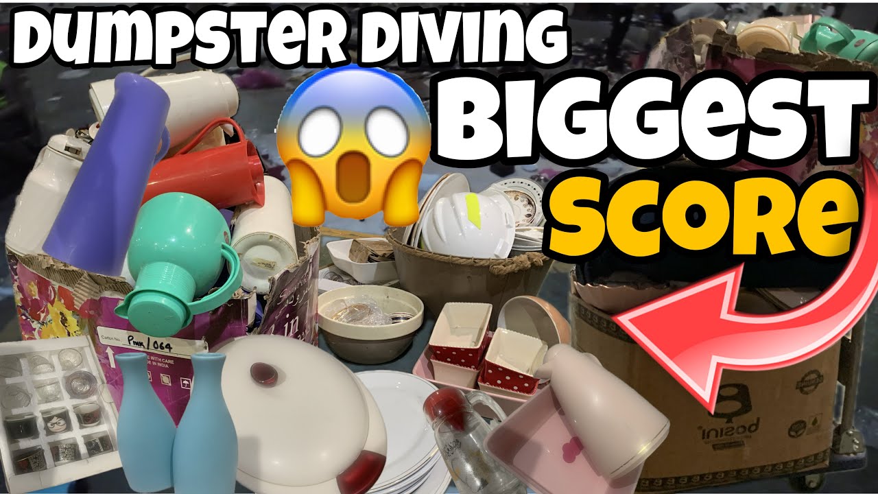 CAN’T BELIEVE THEY THREW ALL THIS | DUMPSTER DIVING AT NIGHT | BESTIE BUDDY