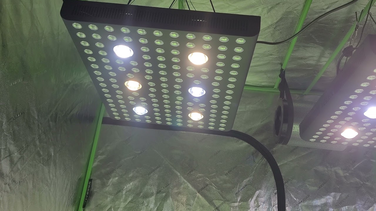 Aglex 3000w cob.
