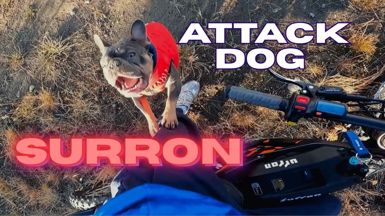 Attack Dog Surron Light Bee X