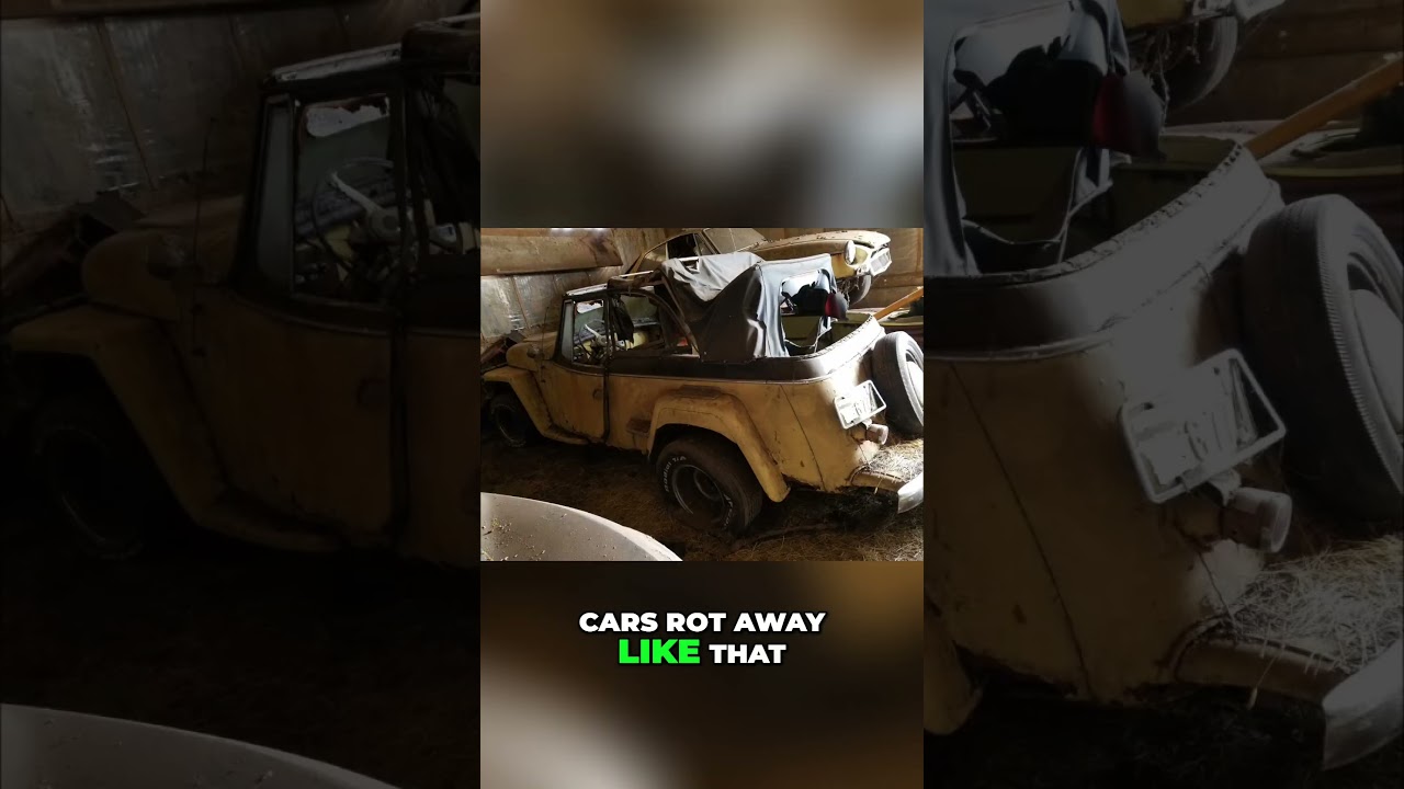 Genius Hid Cars in Chicken Coops! Rotting Muscle Cars Found!