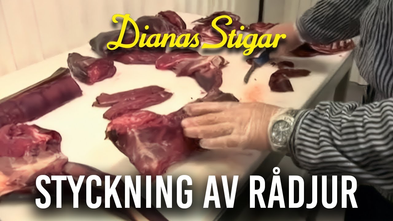 Styckning av r&aring;djur (och mindre hjort)