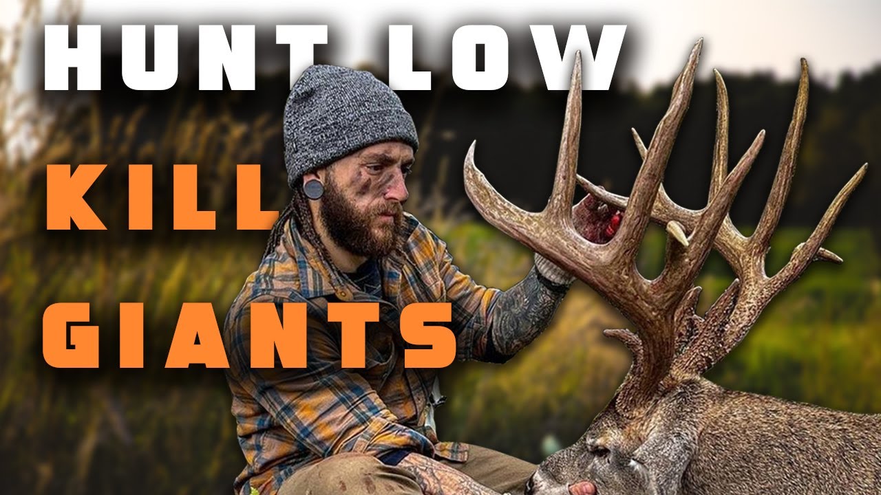 Cody D’Acquisto’s Secret: Why Hunting LOW Kills More Bucks