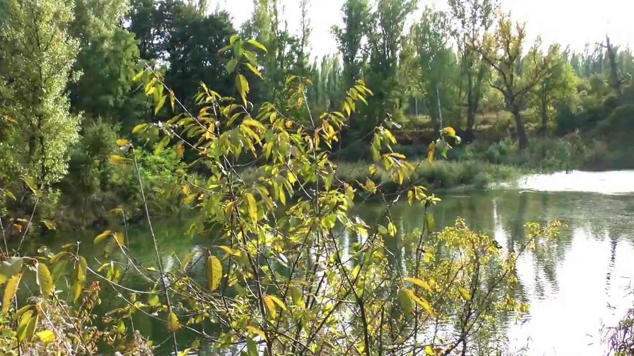 Biech&oacute;w - Oderhorst - Beichau - Głog&oacute;w - Woj. Dolnośląskie  QQLX