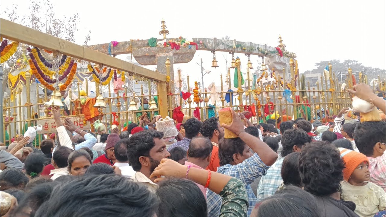 Medaram jathara ki vellam 🙏🥰