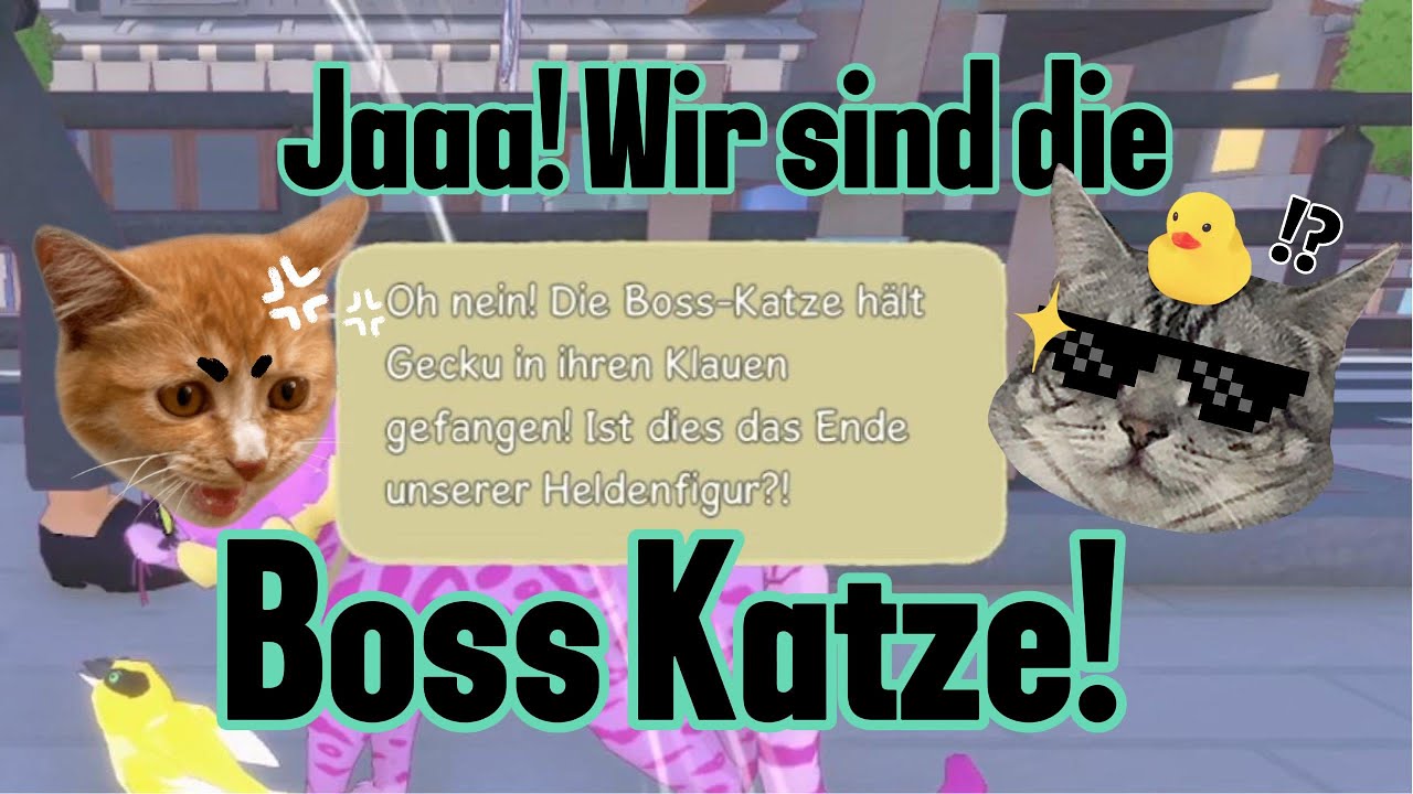 Wir sind die Boss Katze!/Folge 9/Little Kitty, BIG City!🐱