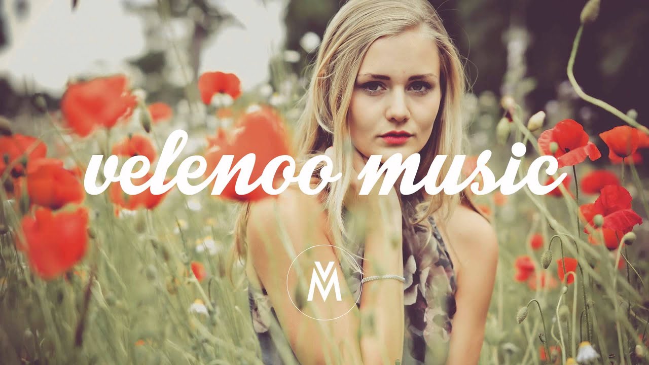 ALLIGATOAH ● WILLST DU (ROBIN SCHULZ EDIT) || FULL HD
