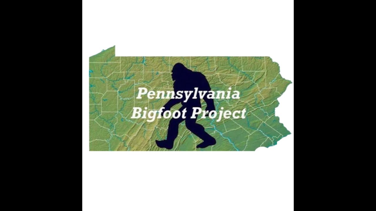 2 Possible Bigfoot Caught on Photo OK Expedition 10/2022