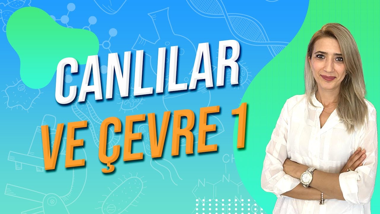 ÇEVRE ŞARTLARININ SÜREKLİLİĞE ETKİSİ  | Seda Hoca Biyoloji 🧬#ayt2024