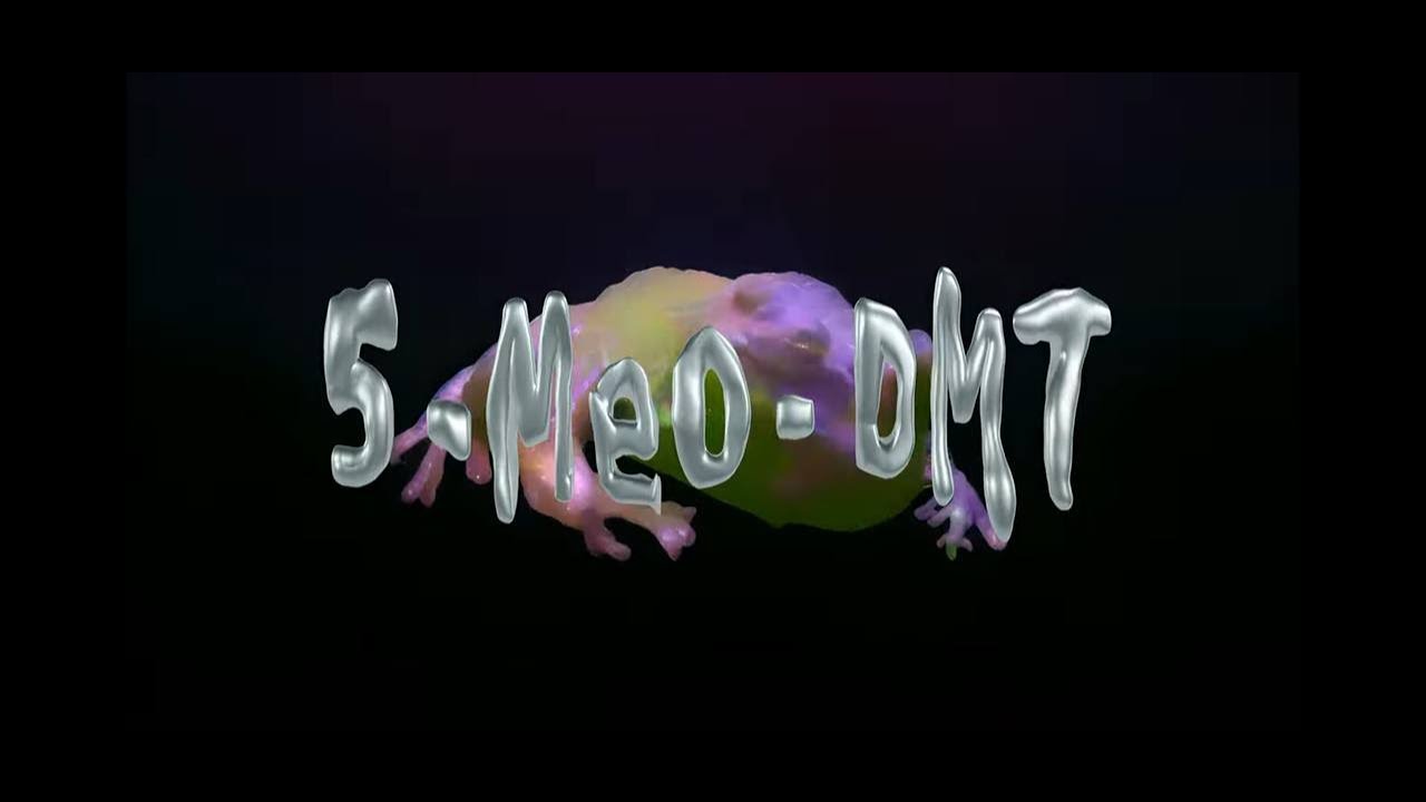 5-MeO-DMT