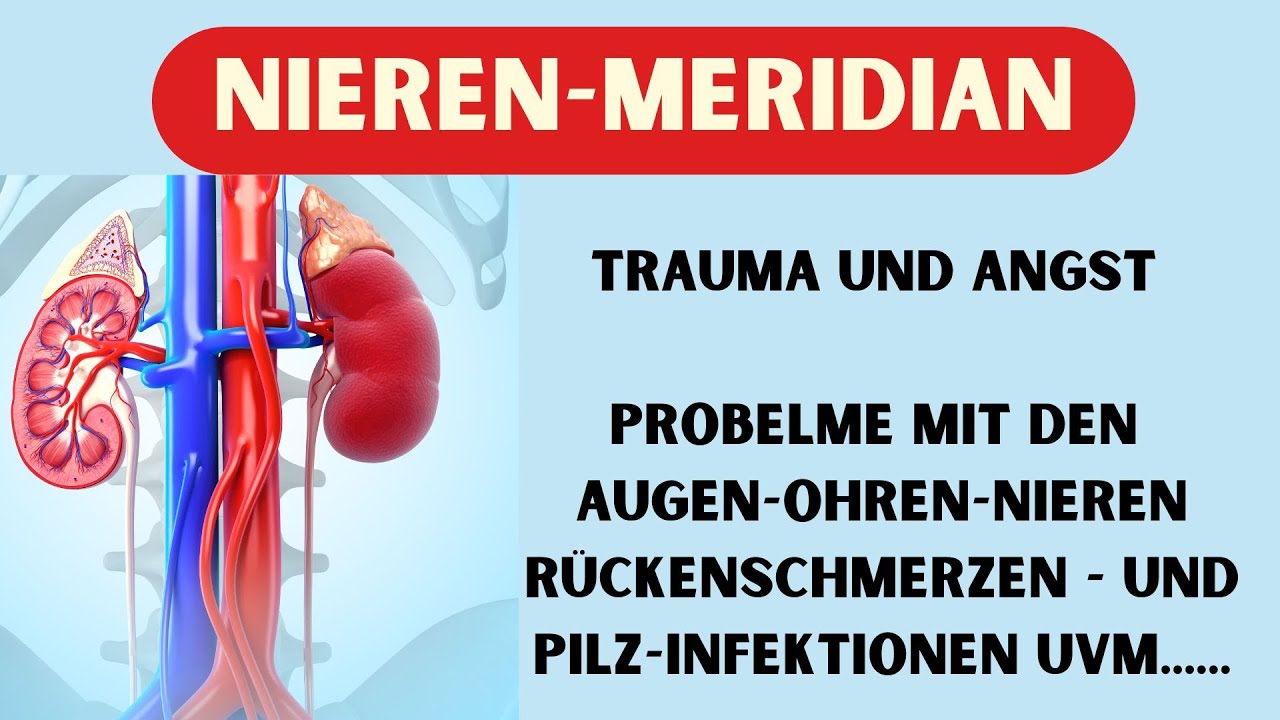 DEIN NIEREN-MERIDIAN - Trauma - Angst - Rückenschmerzen - Nieren - Augen - Ohrenprobleme